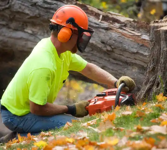 tree services Ansonville